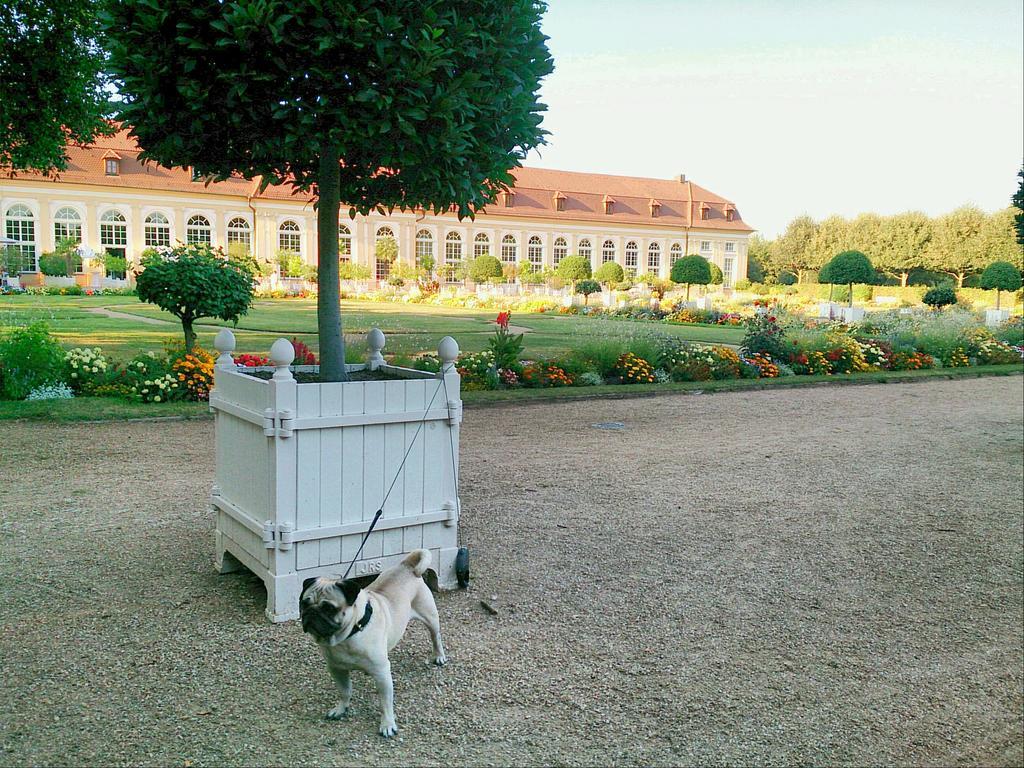Der Platengarten Ansbach Bagian luar foto